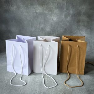 Paper Bag Industry Statistics (Updated 2024)