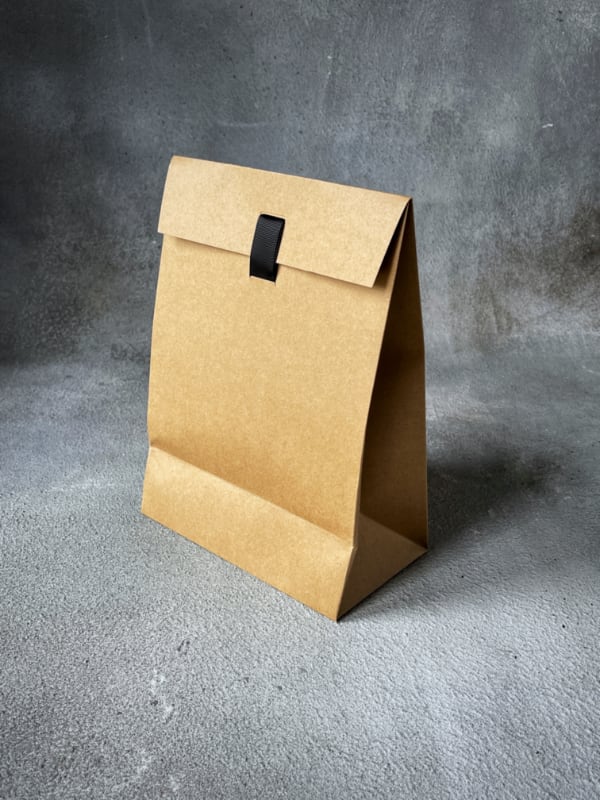 Brown Large FSC Envelope Bag with Ribbon FSCENVRIB-180x100x250+50-BRN-KRA-200 Back