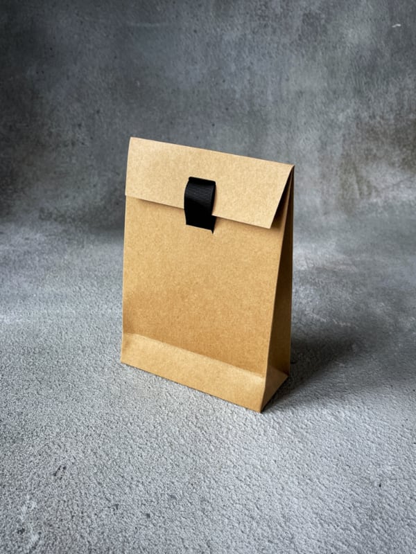 Brown Small FSC Envelope Bag with Ribbon FSCENVRIB-120x50x170+40-BRN-KRA-400 Back