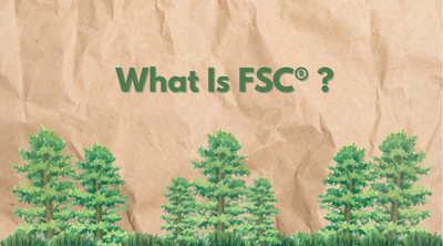 What is FSC® and Why It Matters for Sustainable Packaging