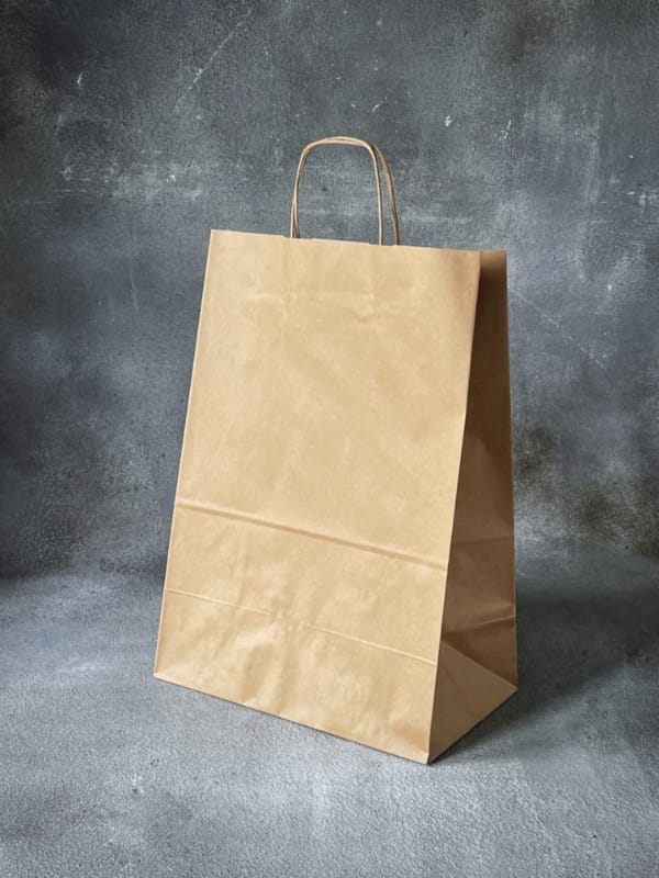 305x170x425 - Brown Twisted Handle Paper Bags