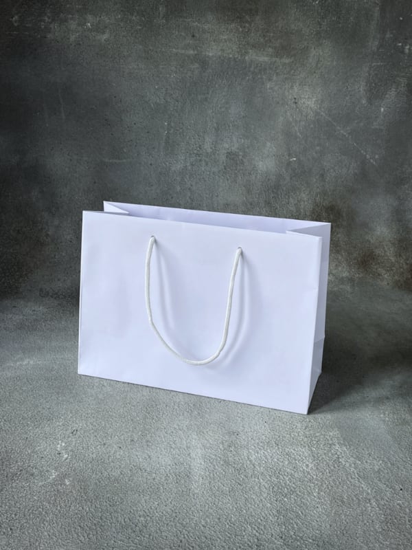310x120x220 - White Kraft Rope Handle Paper Bags