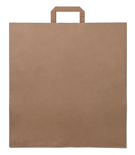 Brown Folded Handle Paper Bags Paper Bag Co - Main Image