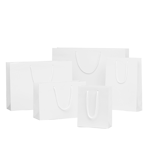 OEMVALATY 300Pcs 5.9x3.2x8.3 Inch Small White Paper Bags With Handles Bulk Gift Wrap