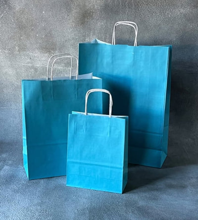 FSC® Coloured Twisted Handle Kraft Paper Bags